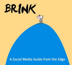 Brink: A Social Media Guide from the Edge